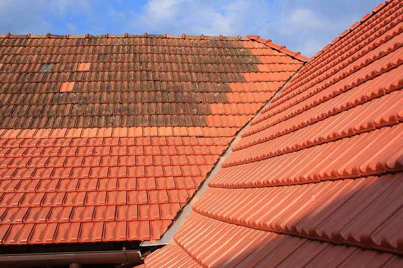 Nettoyage et démoussage toiture - ROOFWALL TERVUREN artisan toiturier couvreur en Belgique : région Flamande, Wallonne, Bruxelles, Liège …. nettoyage, démoussage, traitement anti-mousse toiture. Application d’un revêtement peinture hydrofuge coloré de toit